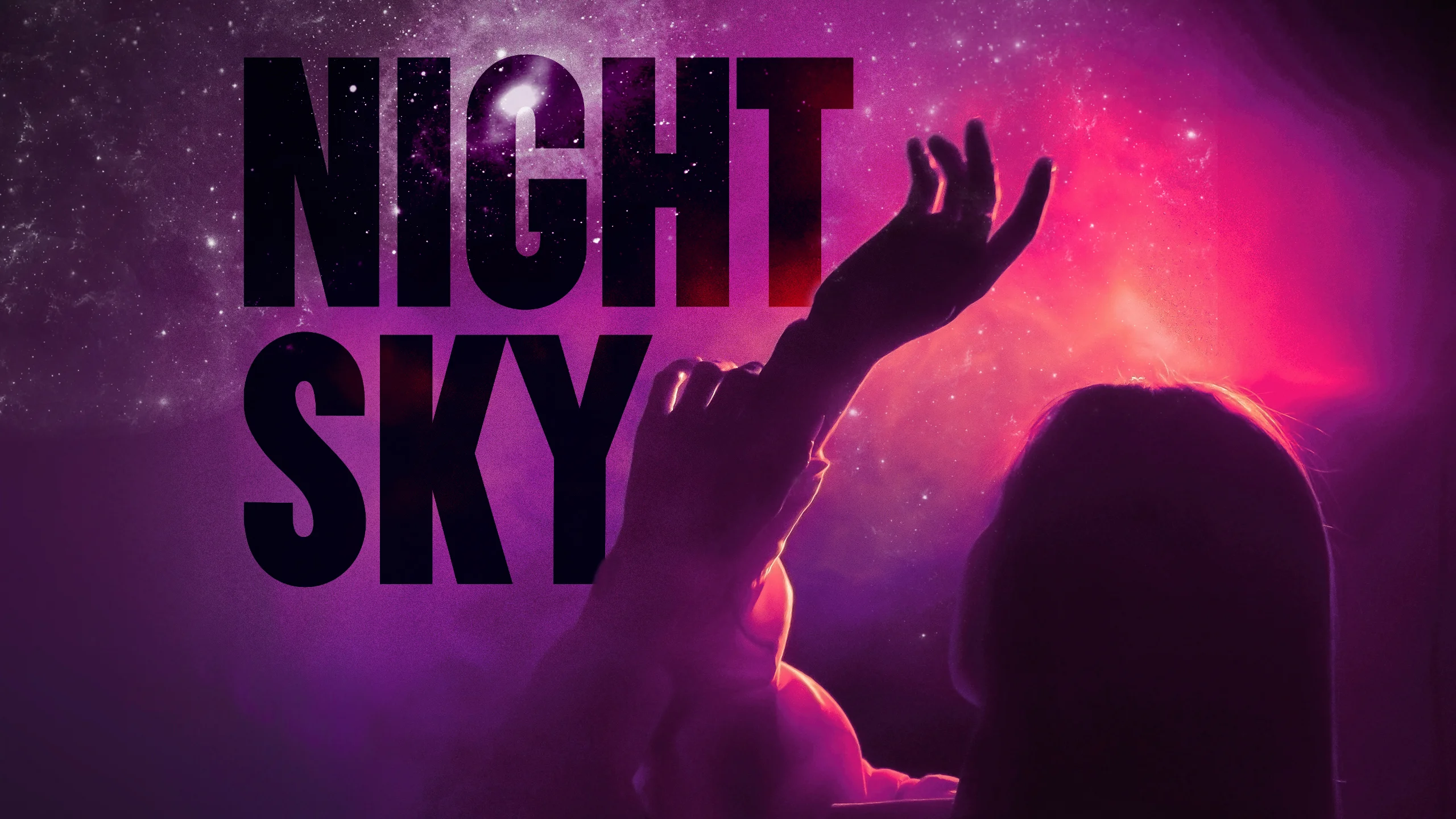 Night Sky by Susan Yankowitz